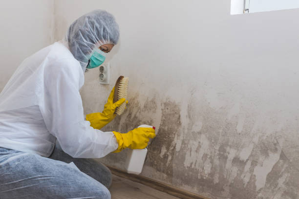 Water Damage Restoration in Dunbar, SC