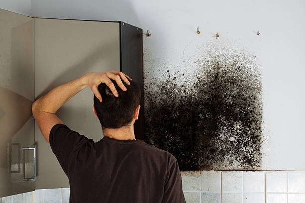 Best Mold Cleaning Services  in Dunbar, SC